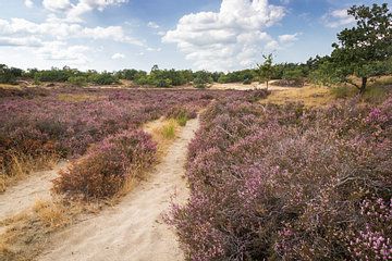 Pauwelsdag: een toffe dag vol activiteiten!